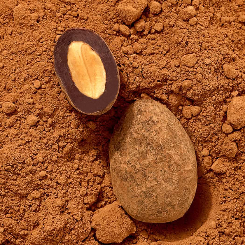 Almond Dragee