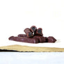 Dandelion Chocolate Candied Japanese Hyuganatsu