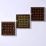 Dandelion Chocolate Grand Tumaco Bonbon Tasting