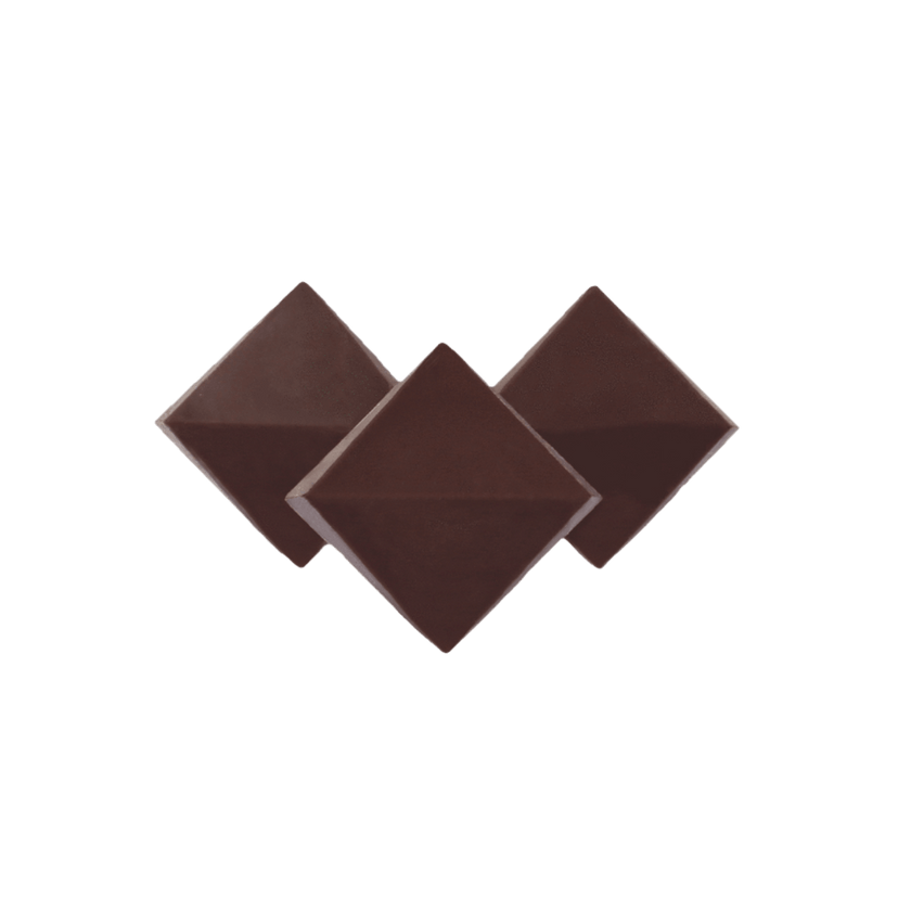 Dandelion Chocolate Large Chips Tumaco, Colombia 70% 2023 Large Chips