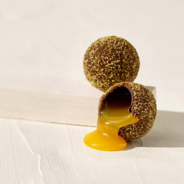 Dandelion Chocolate Midnight Sun Collection