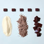 Dandelion Chocolate Single-Origin Truffle Collection: 5 Piece