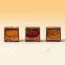 Dandelion Chocolate Summer Harvest Collection